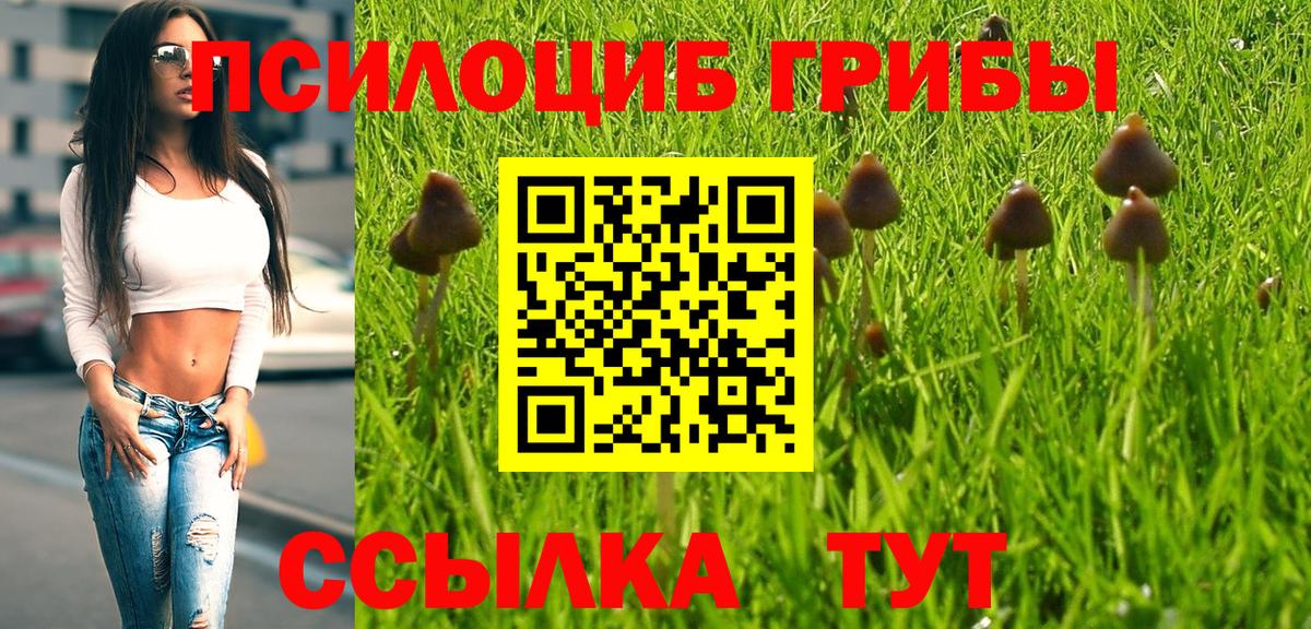Псилоцибиновые грибы GOLDEN TEACHER Азов