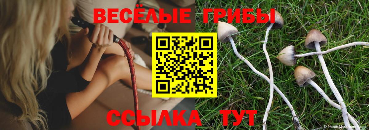 Азов  Галлюциногенные грибы MAGIC MUSHROOMS  Вход с VPN  Галлюциногенные грибы Psilocybe 